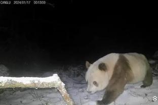 雷竞技预测首页